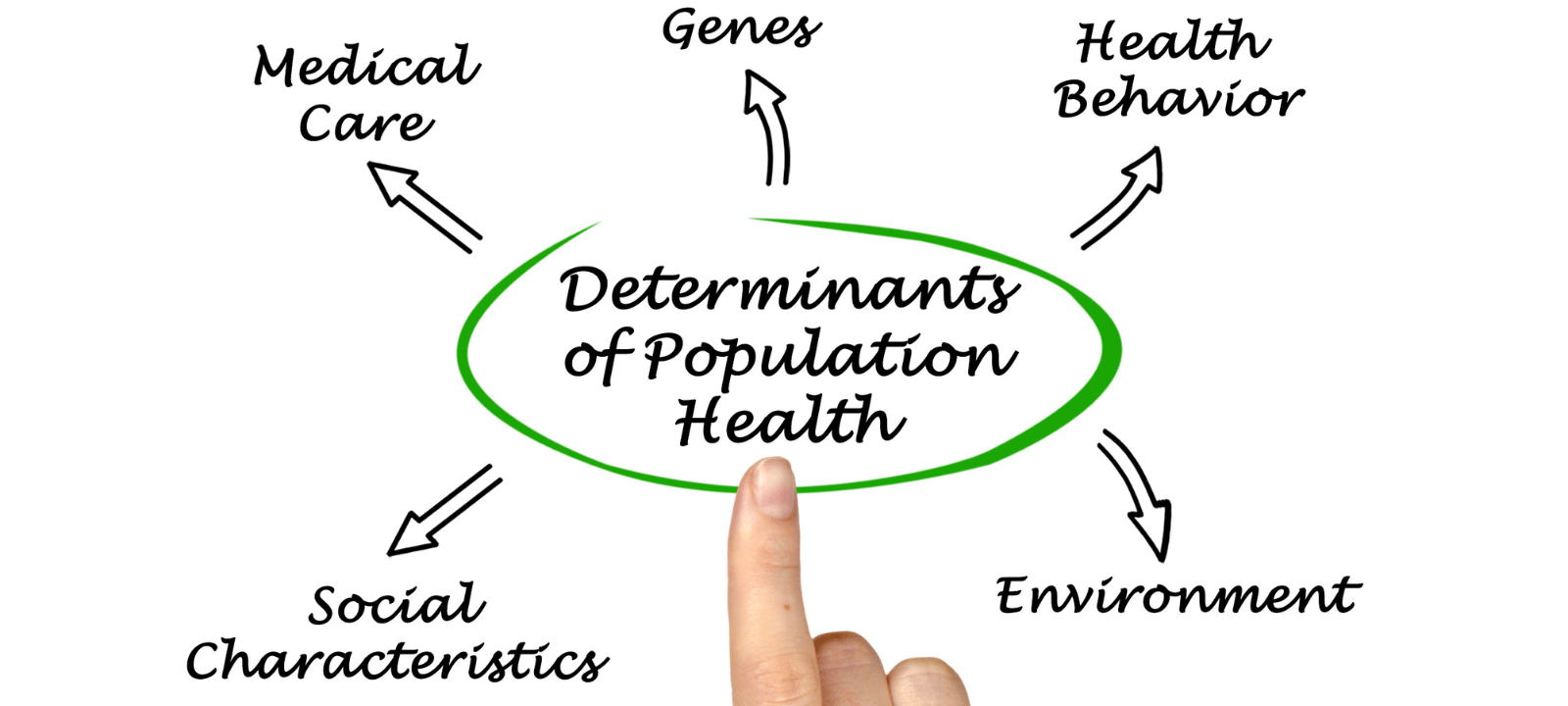 The Social Determinants of Health: Addressing Inequalities